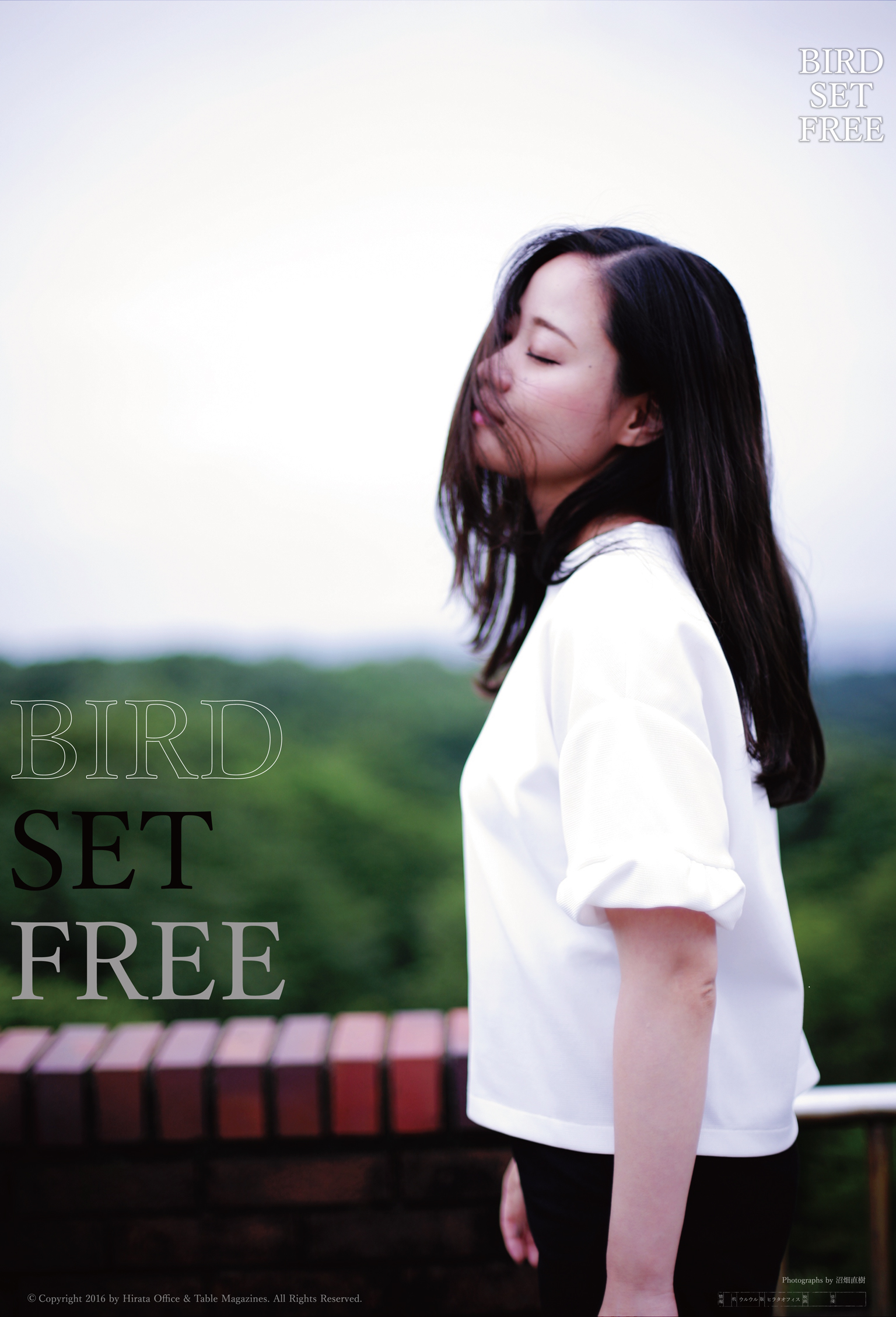 BIRD SET FREE 梶原ひかり、写真4