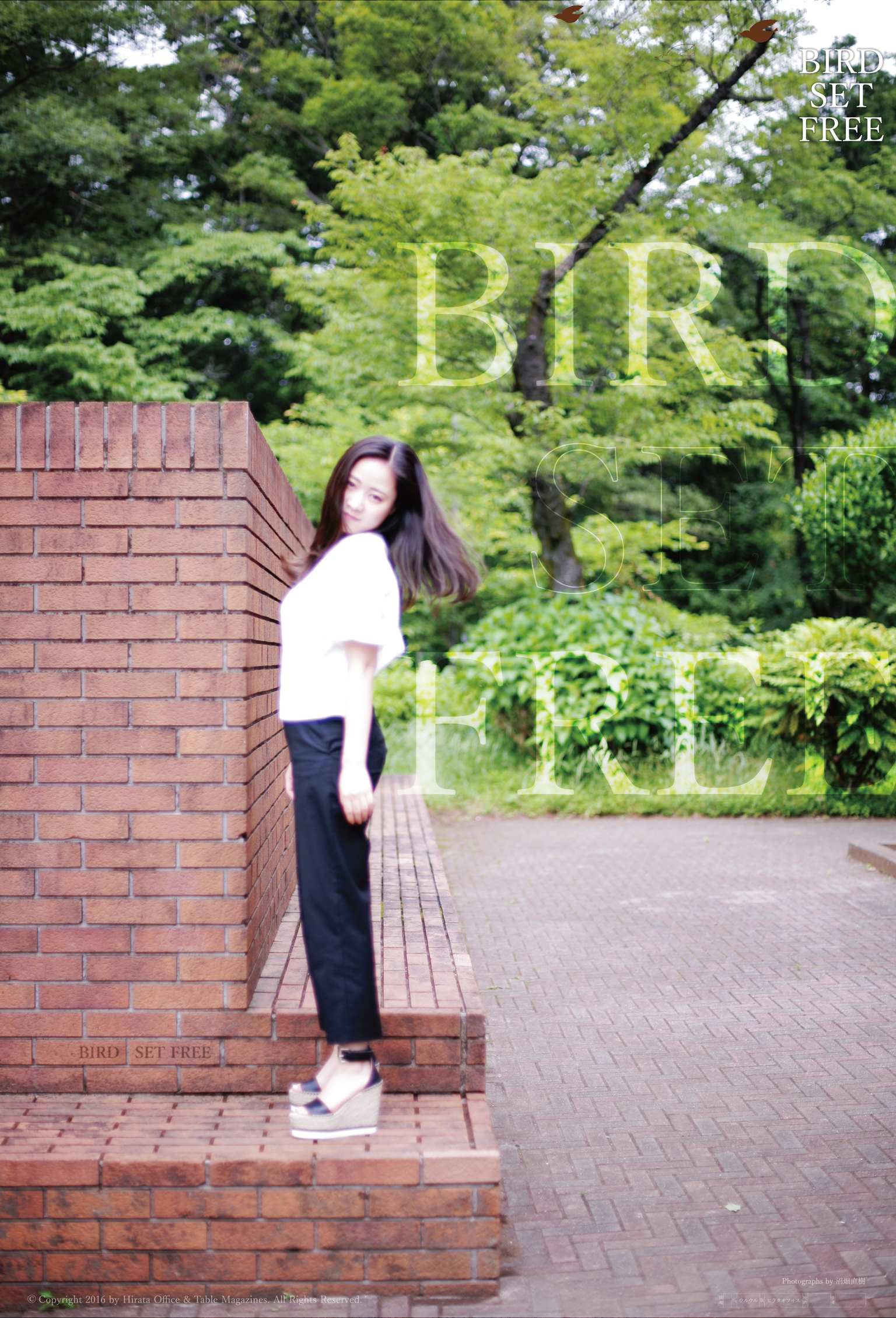 BIRD SET FREE 梶原ひかり、写真7