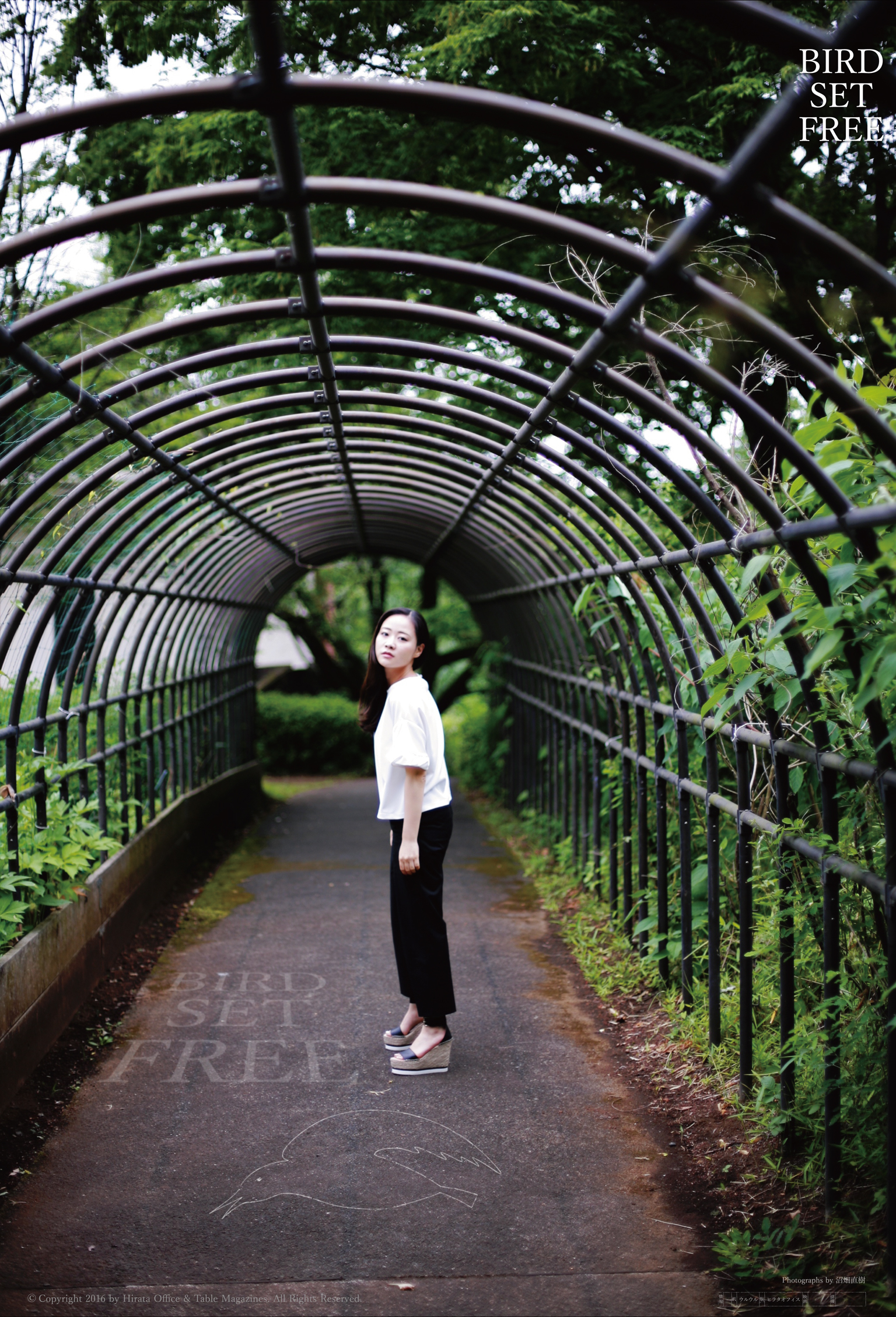 BIRD SET FREE 梶原ひかり、写真9