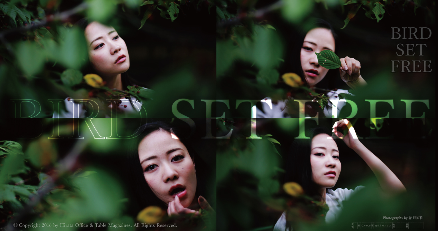 BIRD SET FREE 梶原ひかり、写真11